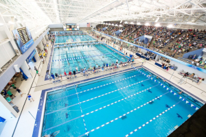 Essential tips for organizing successful swim meets