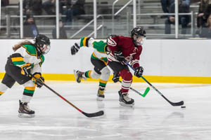 Long-running all-girls hockey tournament returns to Erie for expanded two-weekend run