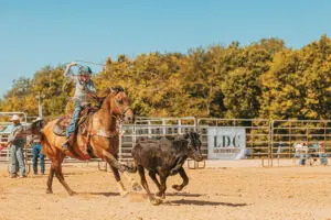 Rodeo planning guide: Balancing tradition, safety and event logistics
