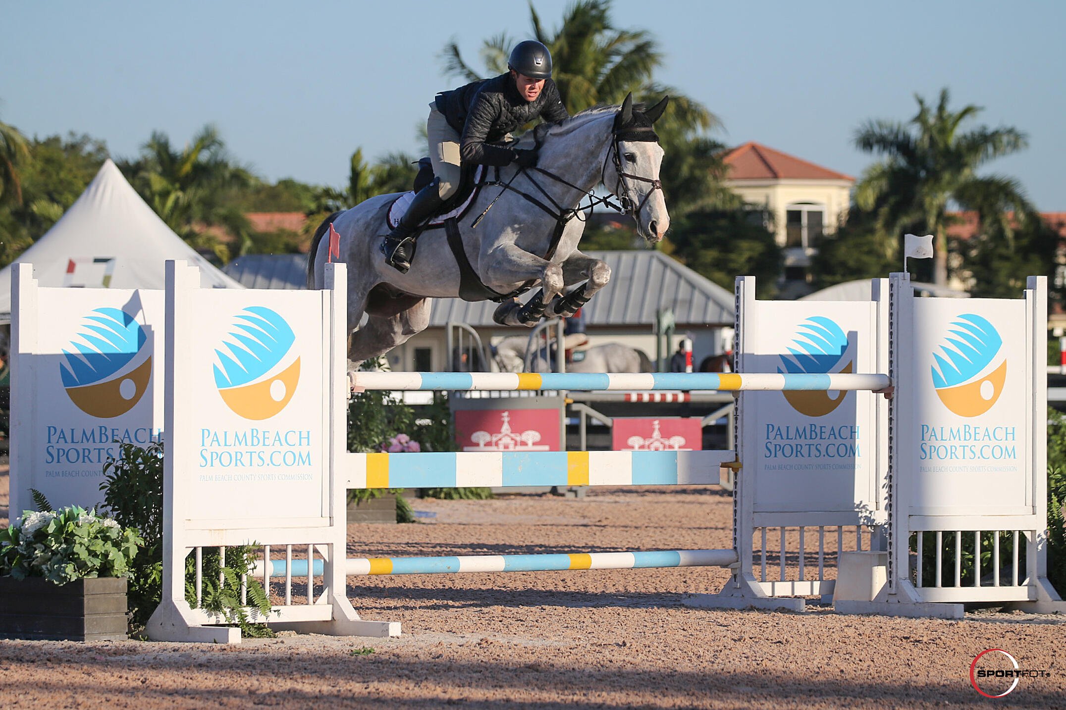 Expanded Winter Equestrian Festival Rides into Palm Beach County