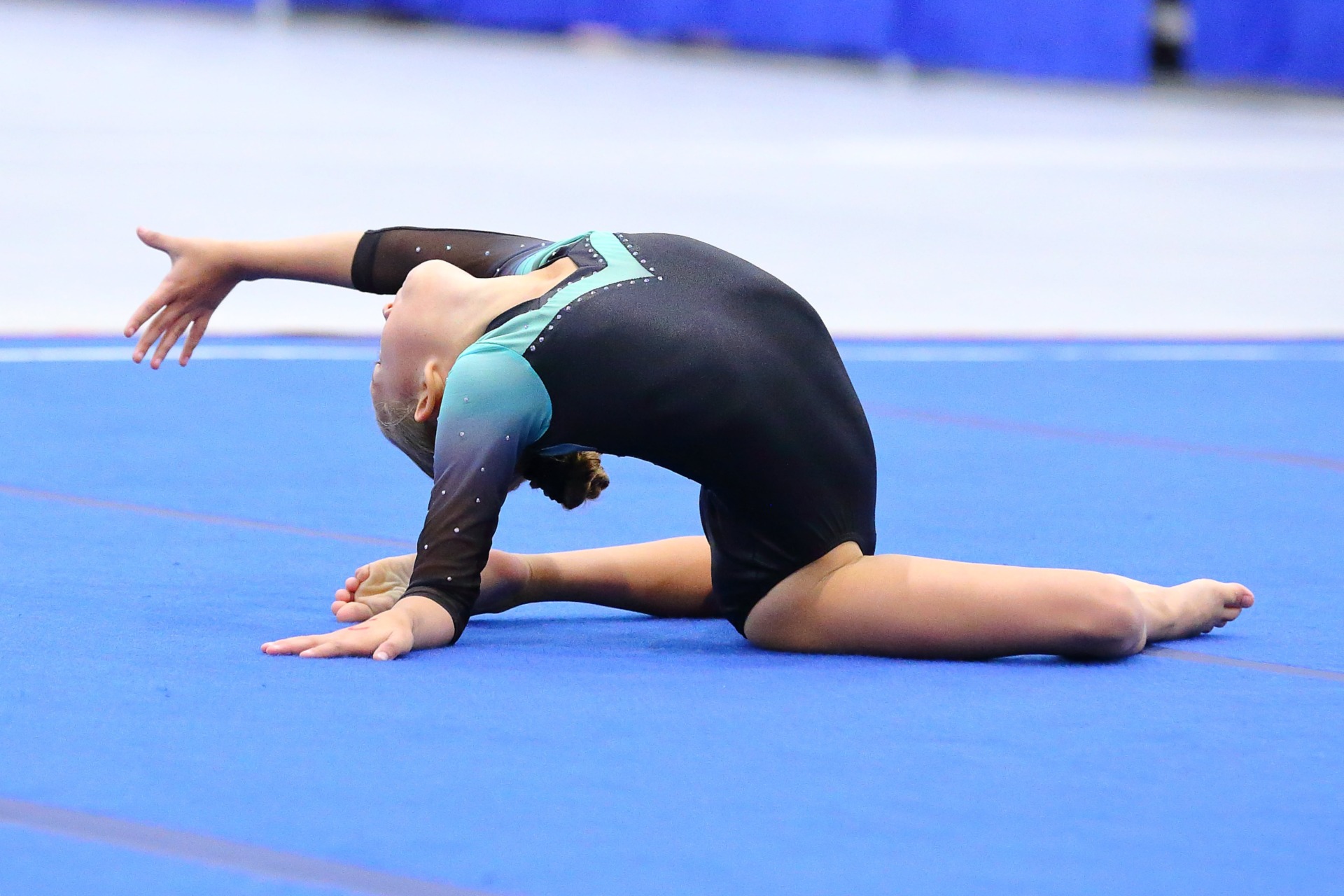 Gymnastics Championships Return to Foley After TwoYear Hiatus