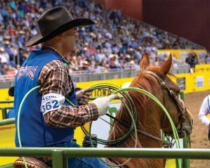 The Collegiate National Finals Rodeo is one of the most popular sporting events within the rodeo sector.