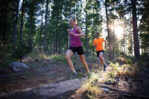 Photo (c) Getty Images Due to varying terrains across different regions, cross country runners often conquer one course and move onto the next.