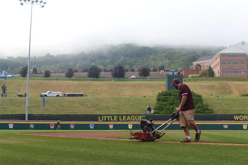 Little League International typically hires between eight and 12 interns each summer.