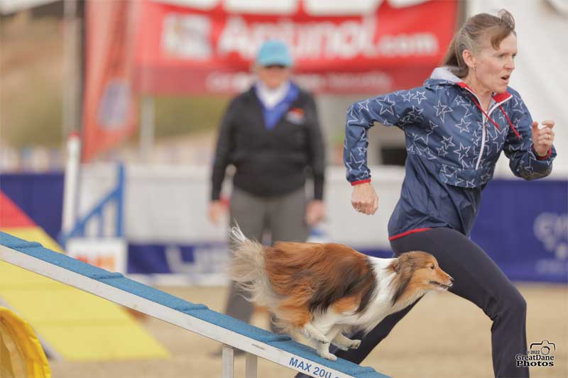 Courtesy Great Dane Photos Dog agility competitions push both canine and owner to surpass their limits.