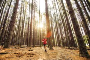 The Appalachian Trail in Virginia is a go-to spot for hiking in the state.