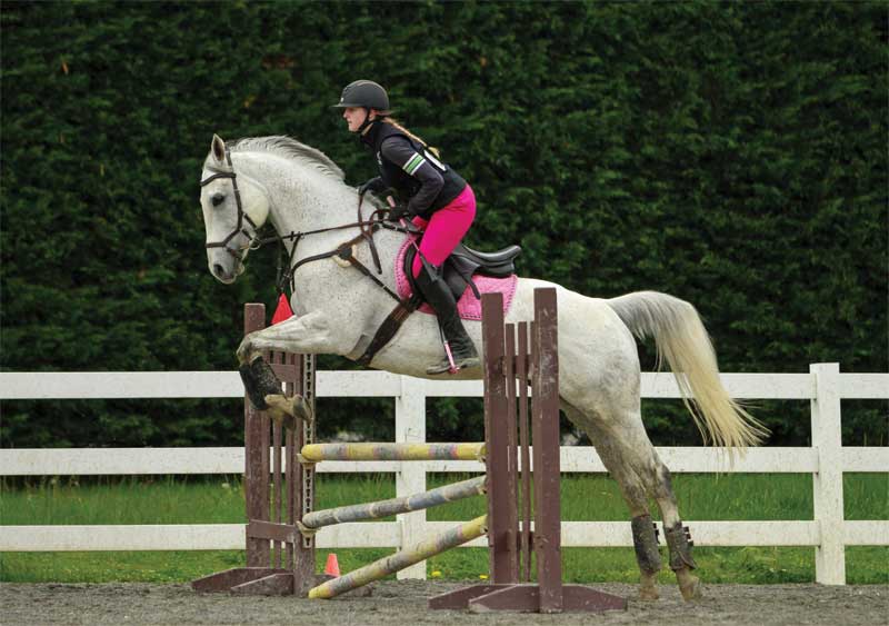 An equestrian and her mount leap a hurdle at Snohomish County's 2023 Evergreen State Fair.