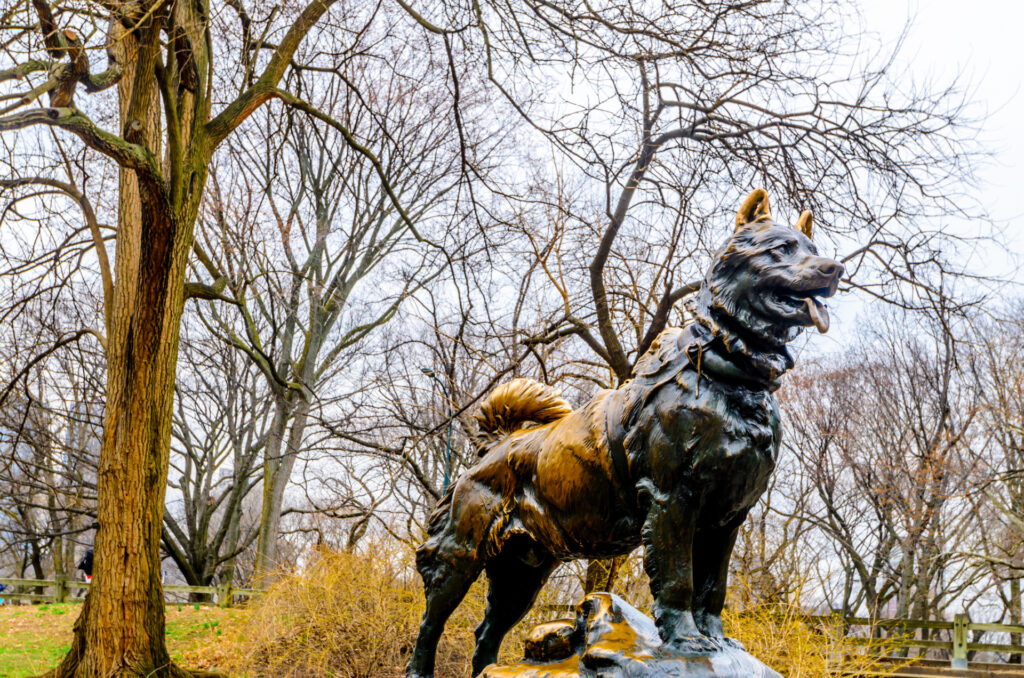A photo of the Balto statue in Central Park, New York.