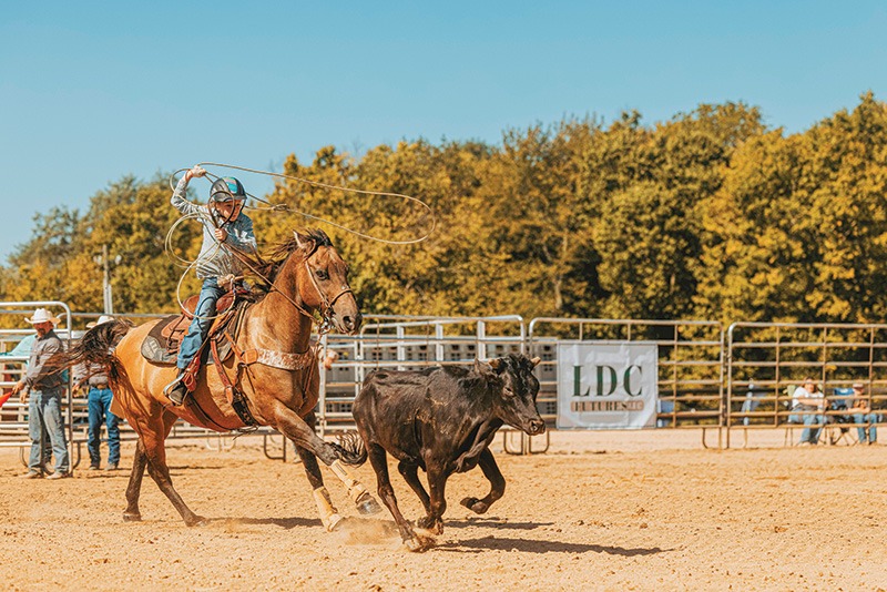 Rodeo planning guide: Balancing tradition, safety and event logistics